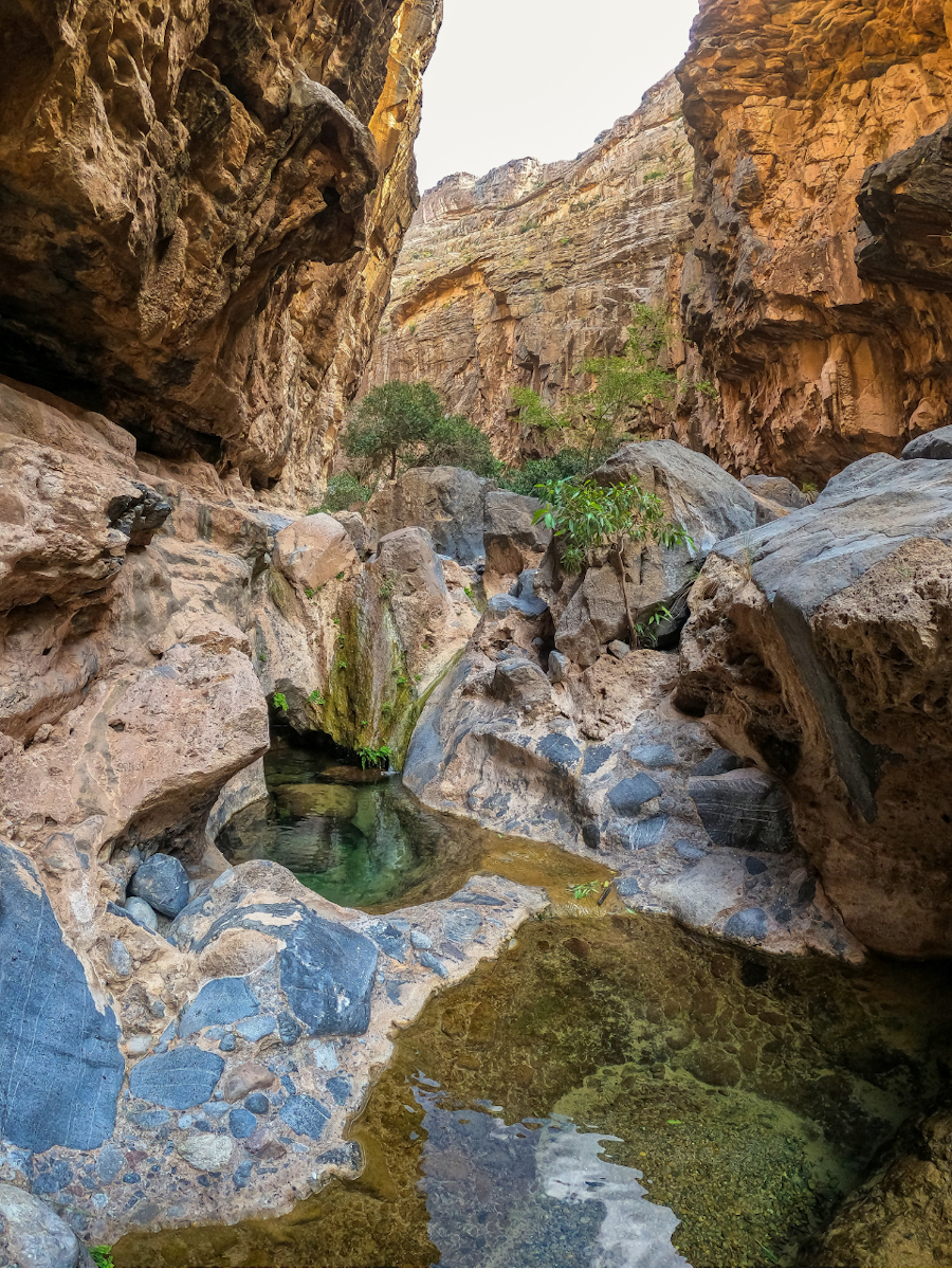 The Best Time to Visit Oman: Month-by-Month Seasonal Guide