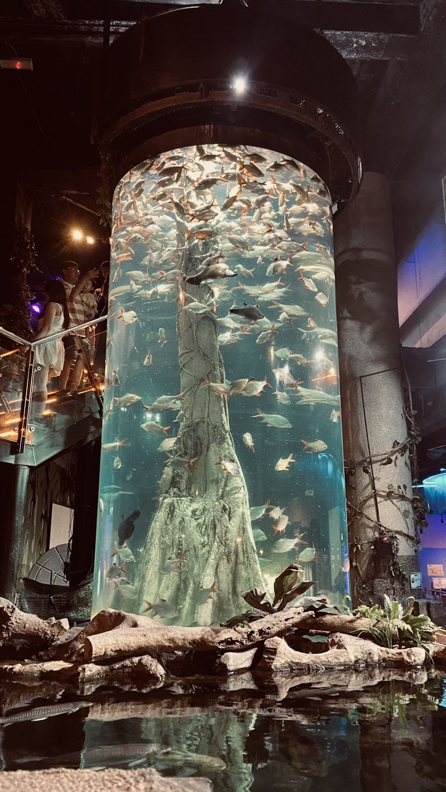 Aquaria KLCC